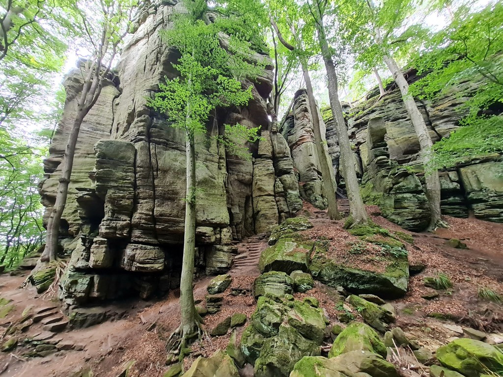 Beleef de puurheid van de natuur tijdens een wandelavontuur op de Mullerthal Trail in&nbsp;Luxemburg