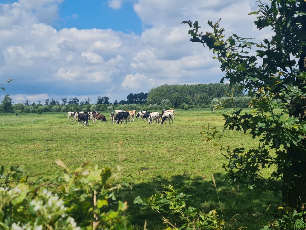 Solowandeling: Ontdek de avontuurlijke&nbsp;klompenpaden